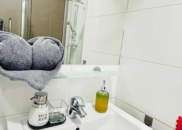 Luxury And Cozy Apartment Vinohrady Prague